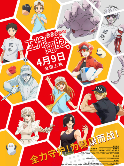 工作细胞:细胞大作战