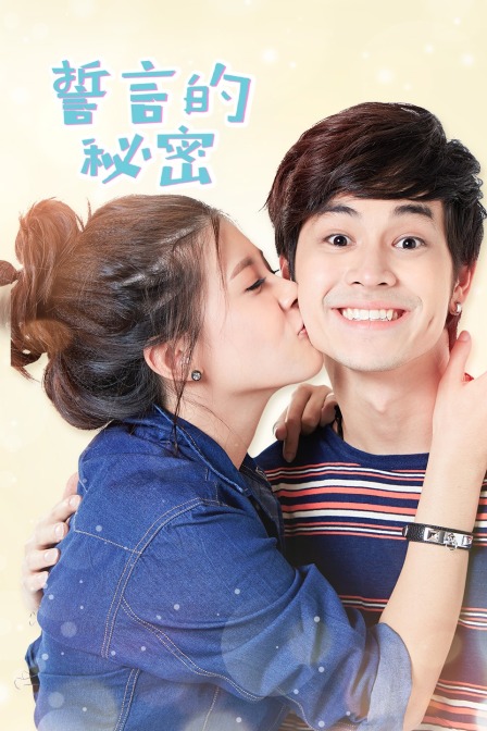 誓言的秘密dvd封面图