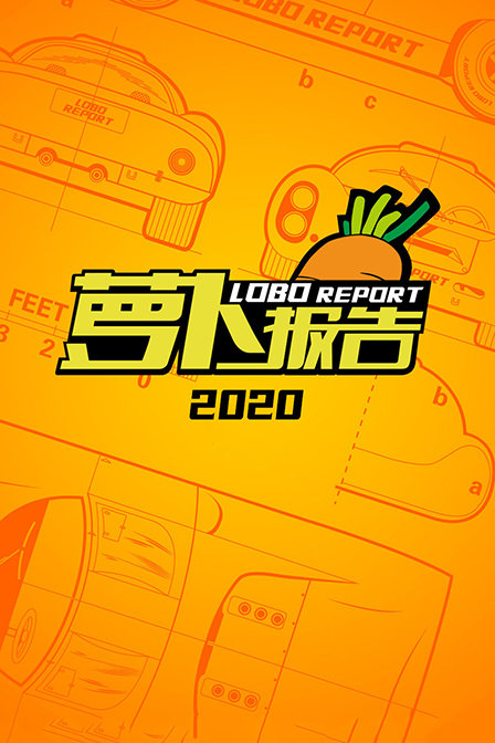 萝卜报告2020}