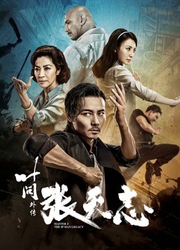 叶问外传:张天志