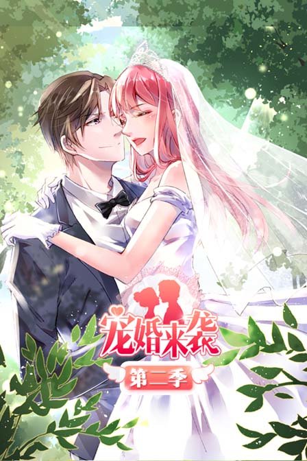 宠婚来袭2}