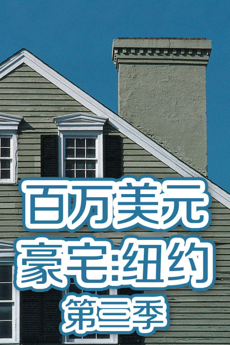 百万美元豪宅:纽约3}