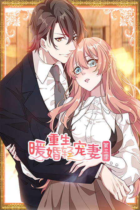 重生暖婚轻宠妻3}