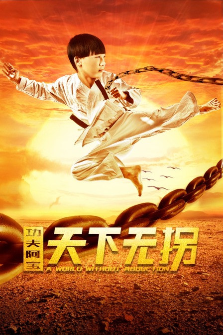 功夫阿宝:天下无拐}
