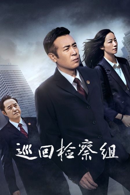 巡回检察组DVD版}