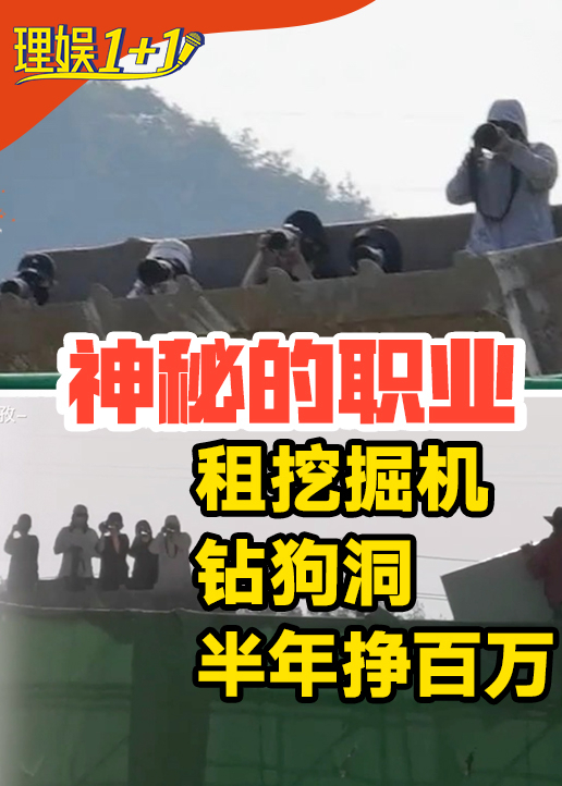 理娱11}