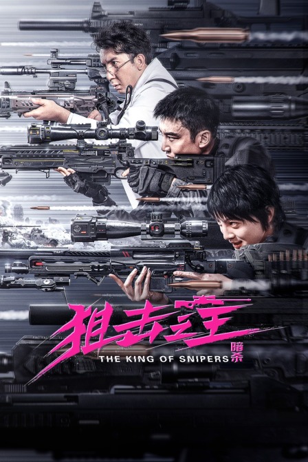 狙击之王:暗杀简体版}
