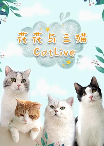 花花与三猫CatLive2020}