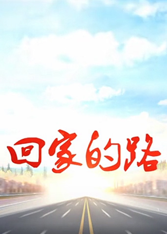 回家的路2005}