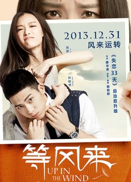 等风来无障碍解说版}