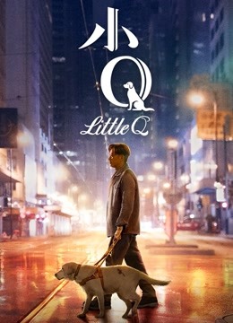 小Q无障碍解说版封面图