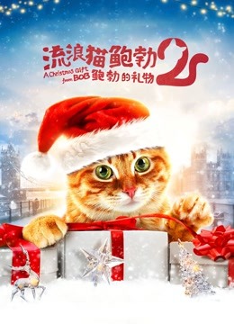 流浪猫鲍勃2:鲍勃的礼物