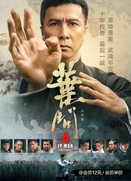 叶问4:完结篇}