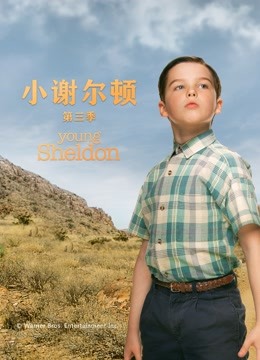 小谢尔顿3