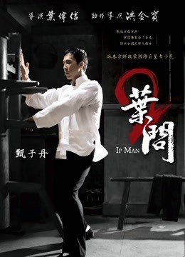 叶问2:宗师传奇}