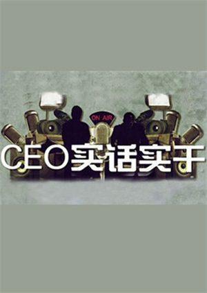 CEO实话实干2010}