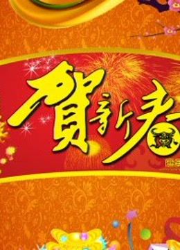 北京BTV版春晚}