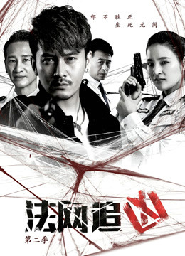 法网追凶2