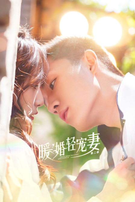 暖婚轻宠妻2