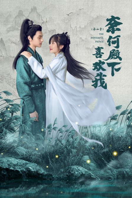 奈何殿下喜欢我2