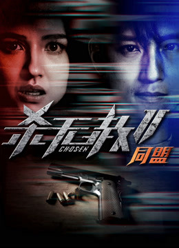 杀无赦2:Ⅱ同盟}