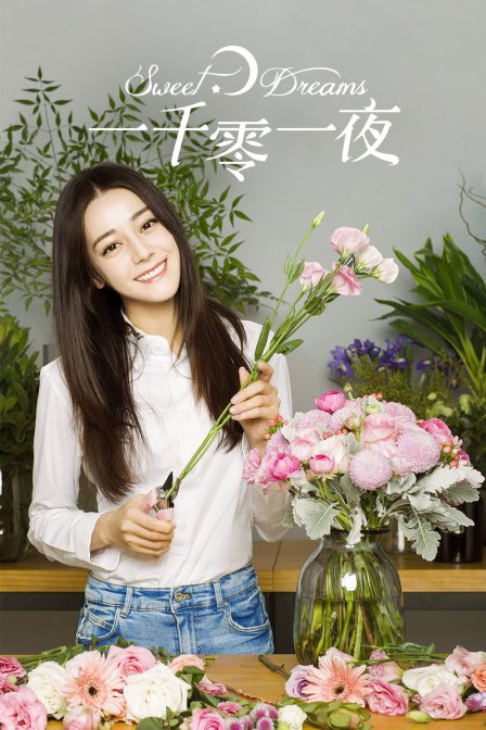 一千零一夜TV版}