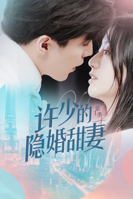 许少的隐婚甜妻1