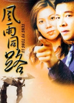 风雨同路1994}