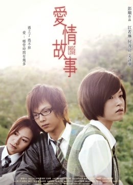 爱情故事2009}