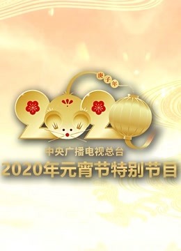 2020央视元宵特别节目}
