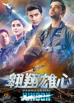 翱翔雄心版}