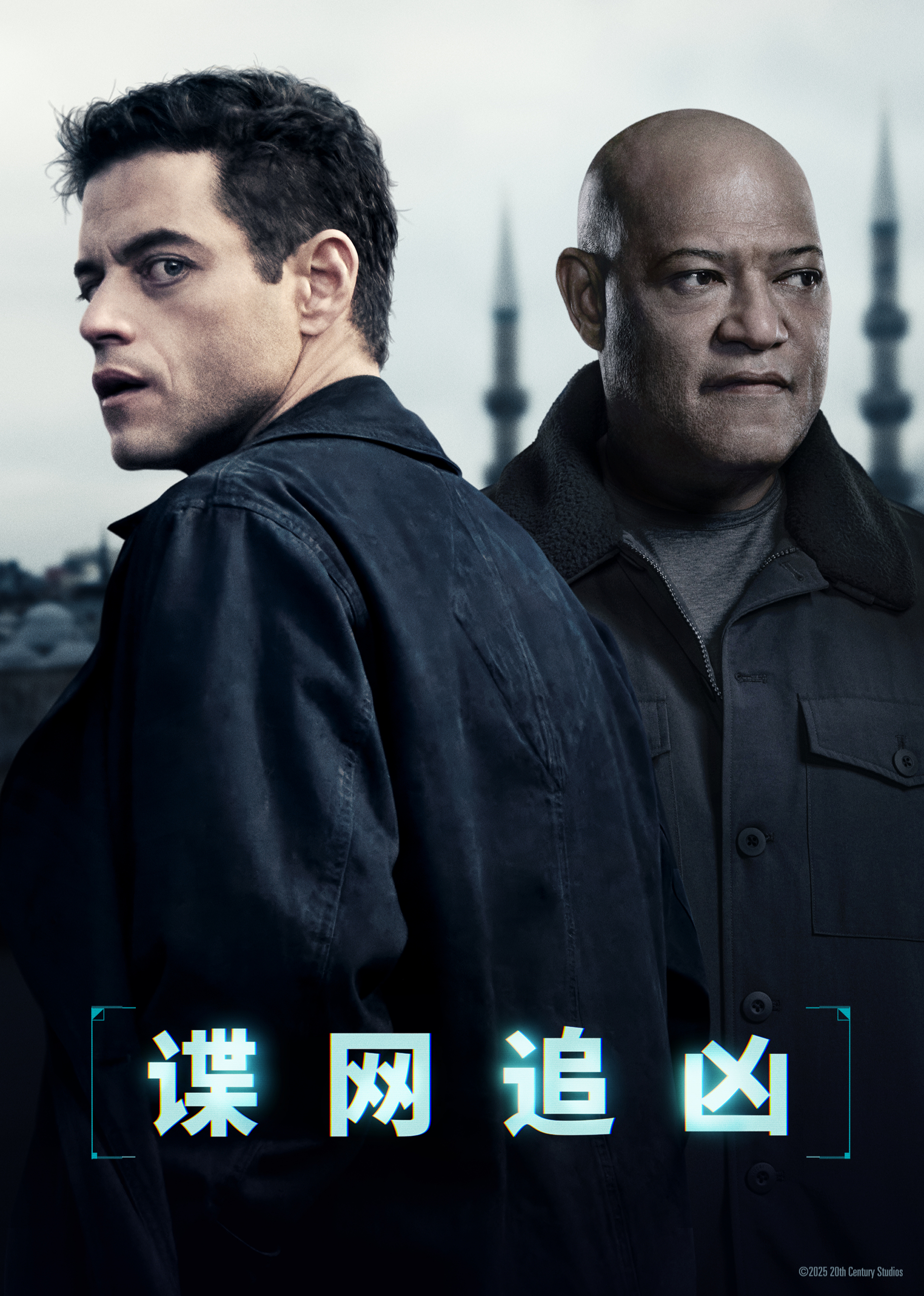 谍网追凶