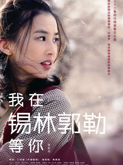 我在锡林郭勒等你封面图