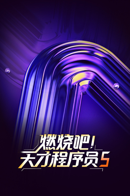 燃烧吧天才程序员5