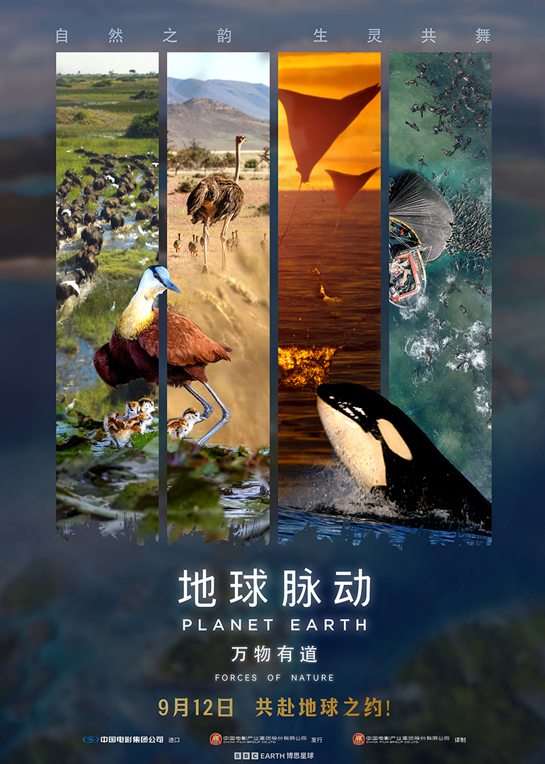 地球脉动万物有道