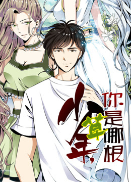 少年你是哪根草动态漫画封面图