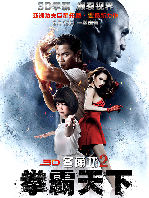 冬荫功二拳霸天下封面图