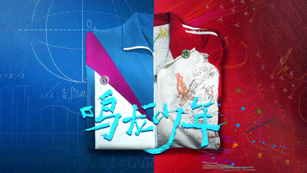 鸣龙少年版封面图