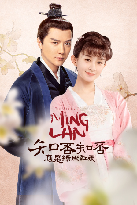 知否知否应是绿肥红瘦版封面图