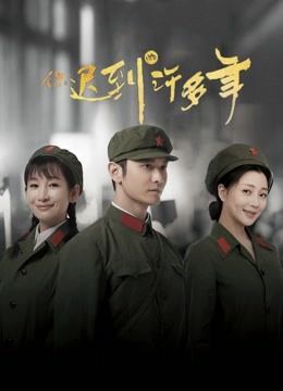 你迟到的许多年版