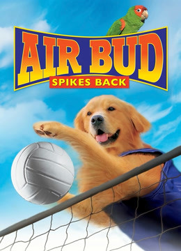 飞狗巴迪5排球健将封面图