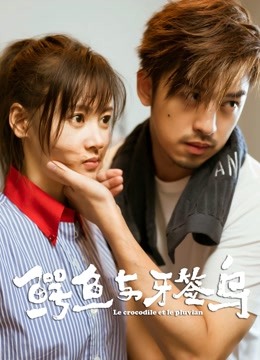 鳄鱼与牙签鸟版封面图