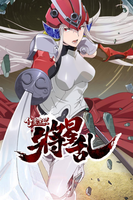 侍灵演武将星乱封面图