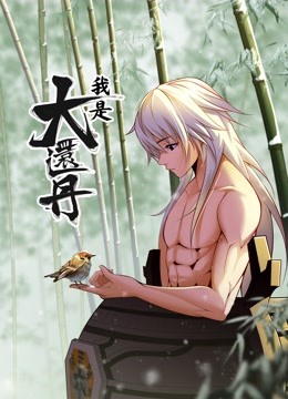 我是大还丹动态漫