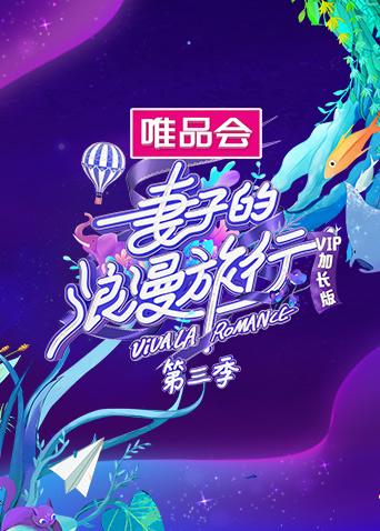 妻子的浪漫旅行3VIP