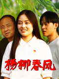 杨柳春风