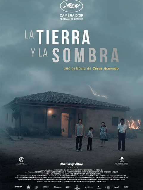 大地与阴影封面图