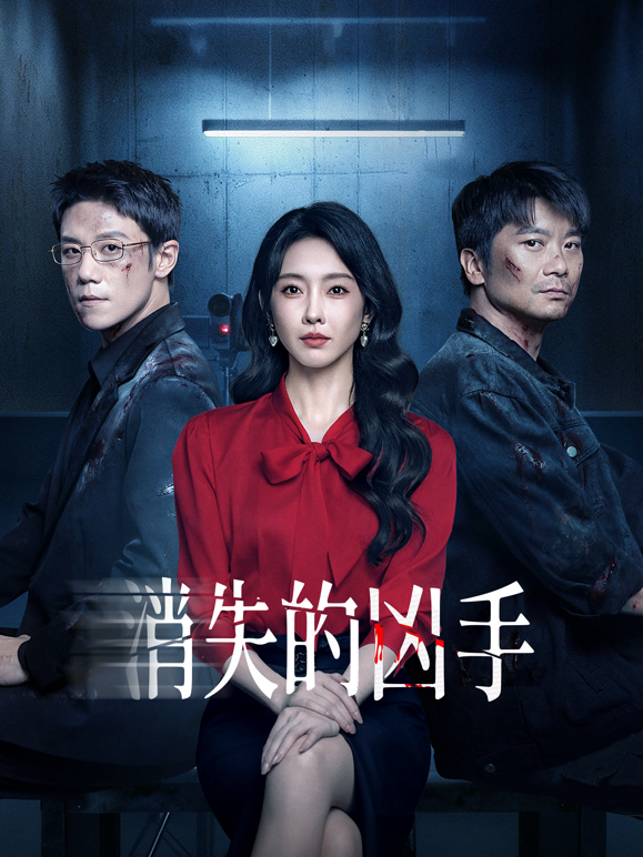 消失的凶手封面图