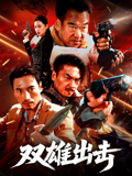 双雄出击封面图