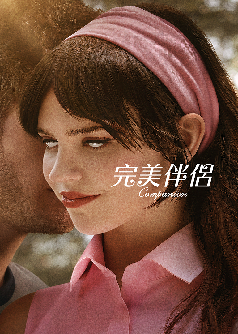 完美伴侣封面图